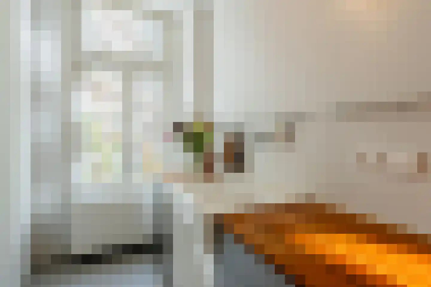 Nieuwe Prinsengracht 120 H Amsterdam thumbnail 19