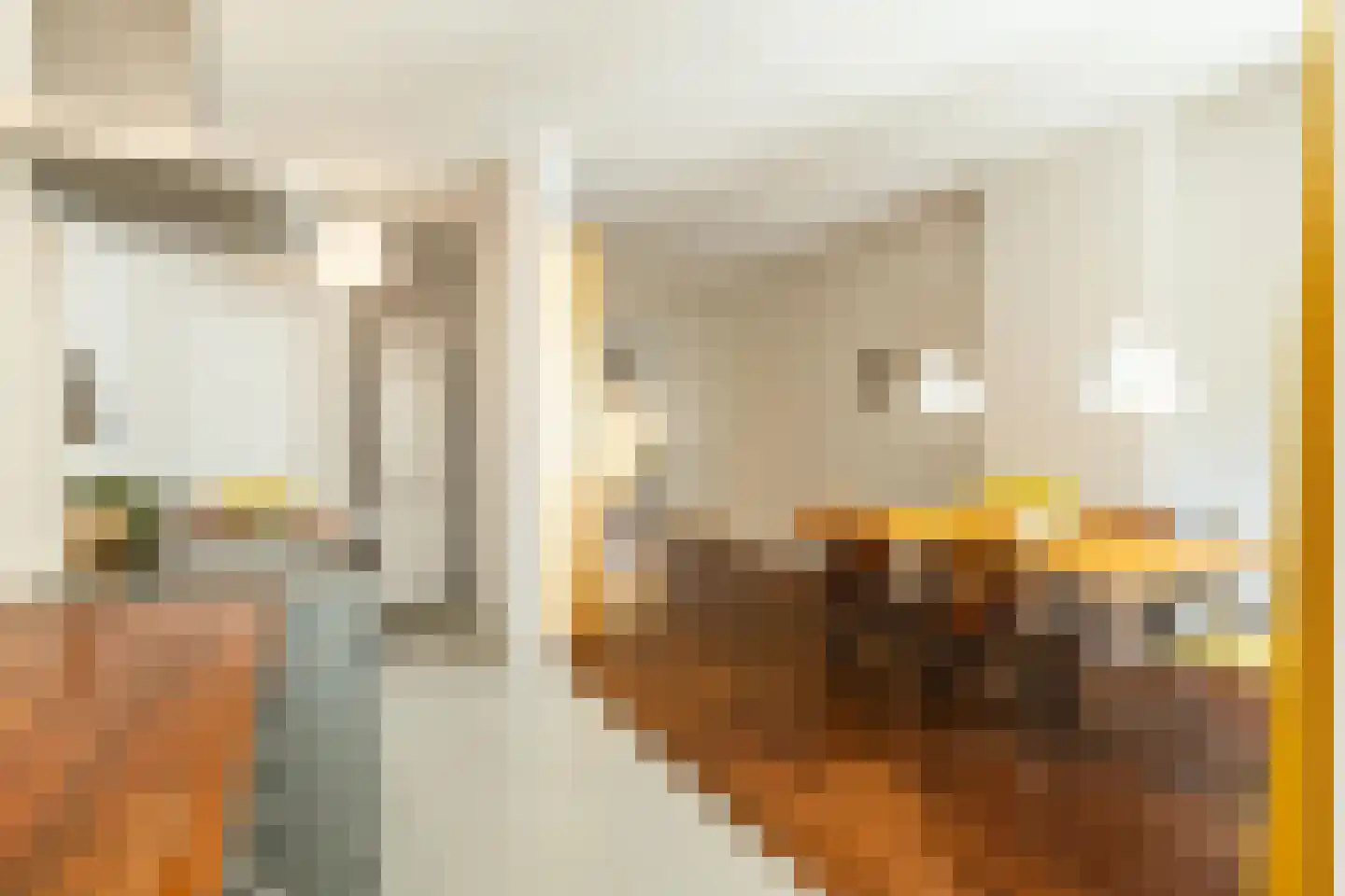 Nieuwe Prinsengracht 120 H Amsterdam thumbnail 21