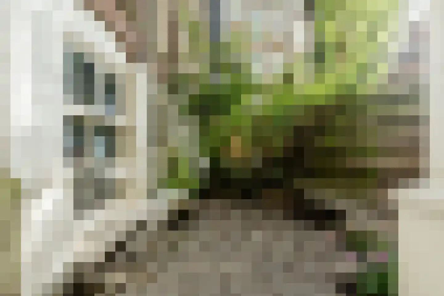 Nieuwe Prinsengracht 120 H Amsterdam thumbnail 33