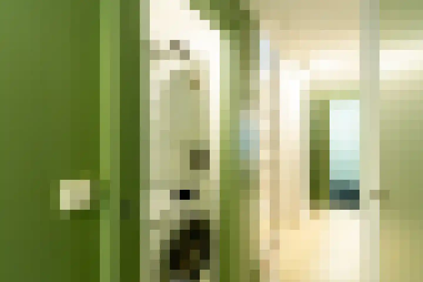 Nieuwe Prinsengracht 120 H Amsterdam thumbnail 42
