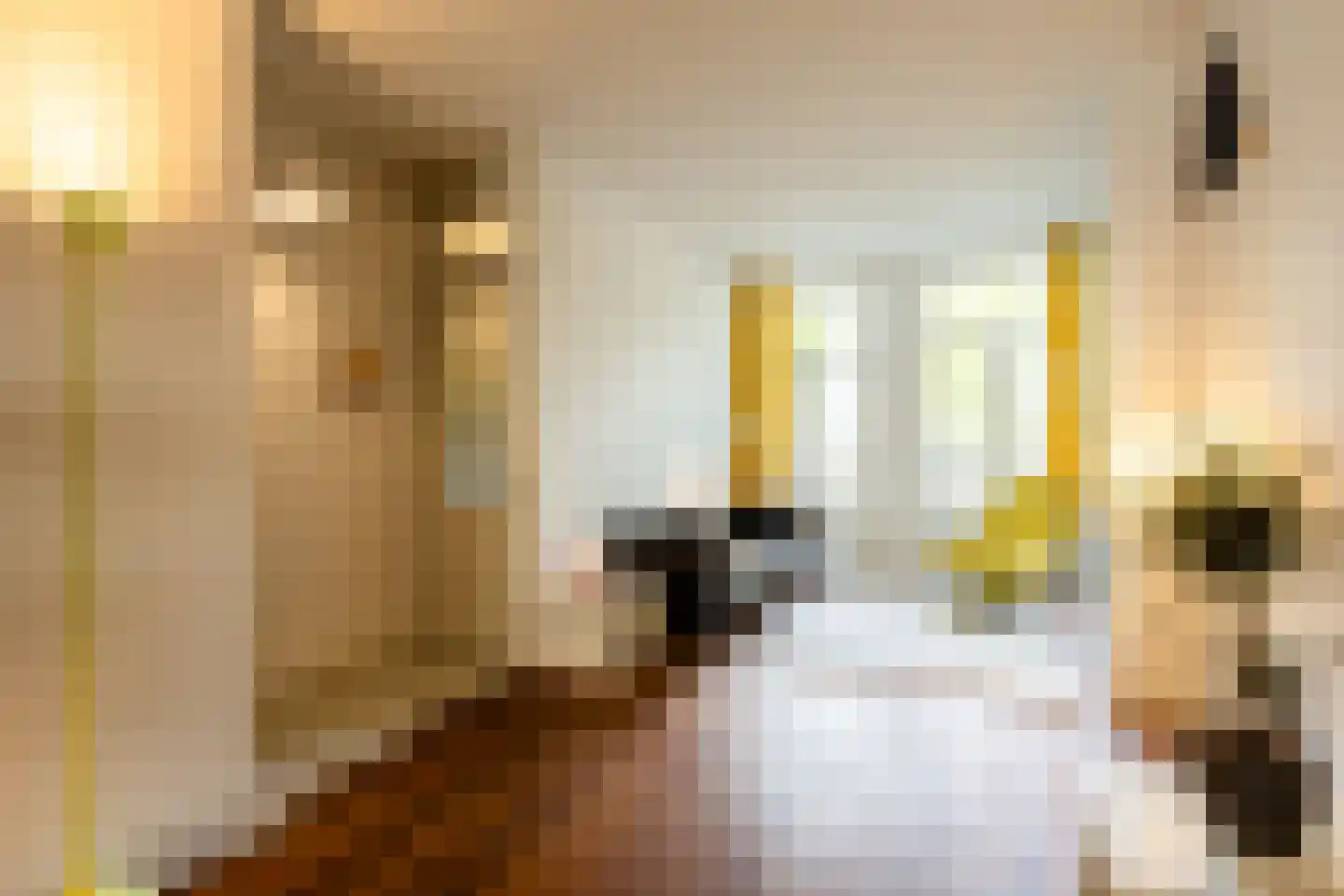 Nieuwe Prinsengracht 120 H Amsterdam thumbnail 9