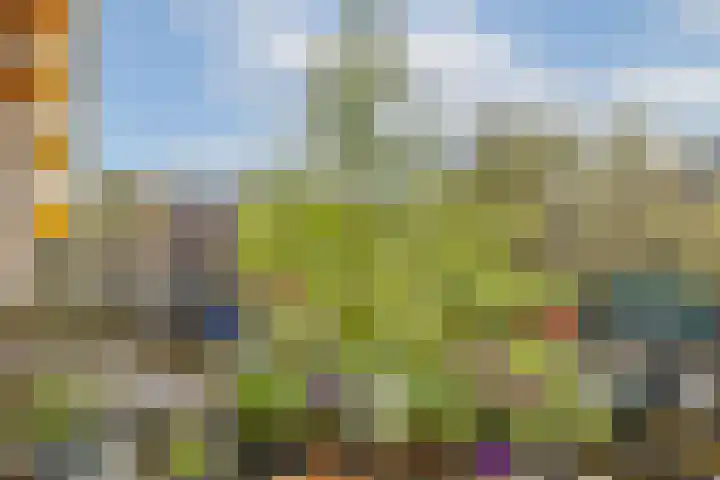 Nieuwe Prinsengracht 13 1 Amsterdam thumbnail 11