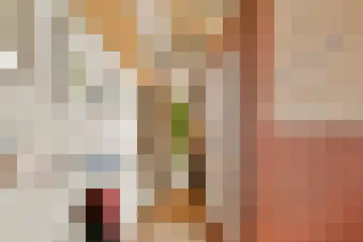 Nieuwe Prinsengracht 13 1 Amsterdam thumbnail 4