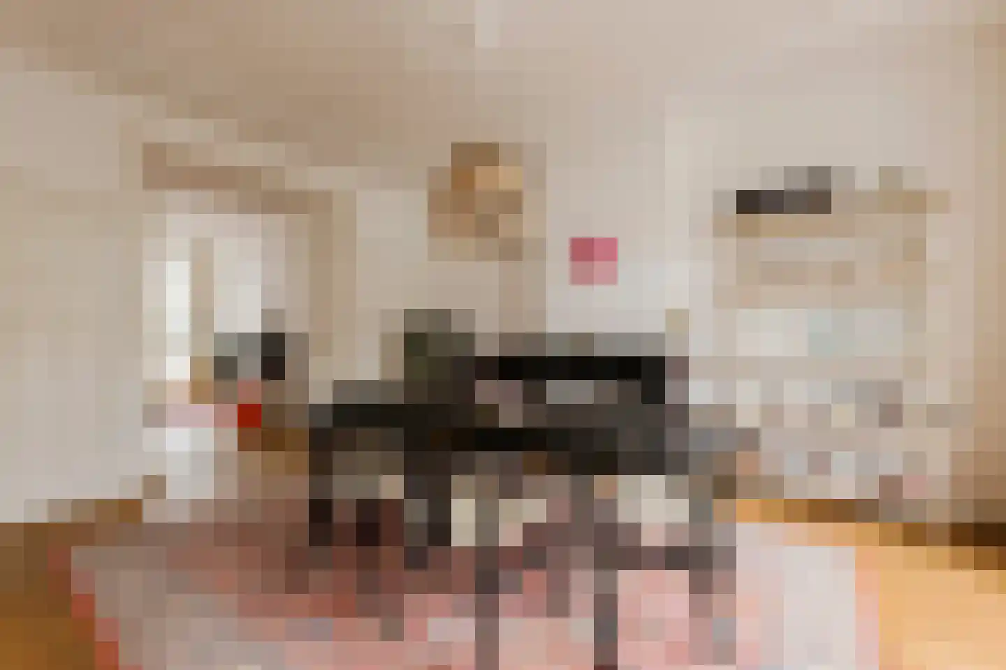 Nieuwe Prinsengracht 14 2 Amsterdam thumbnail 11