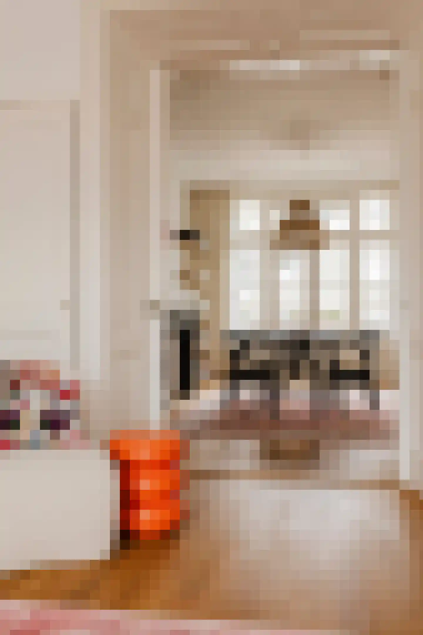 Nieuwe Prinsengracht 14 2 Amsterdam thumbnail 12