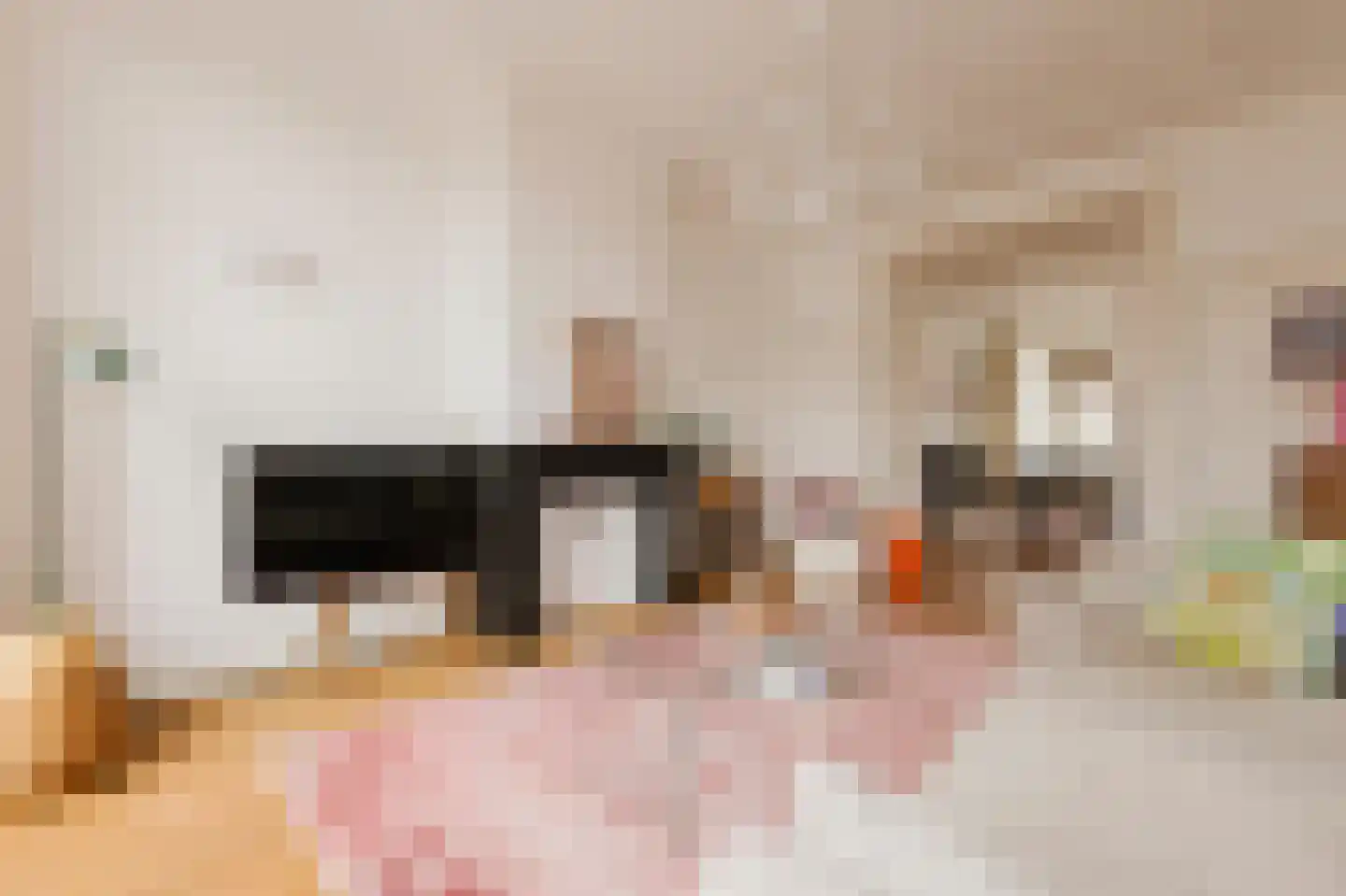 Nieuwe Prinsengracht 14 2 Amsterdam thumbnail 13