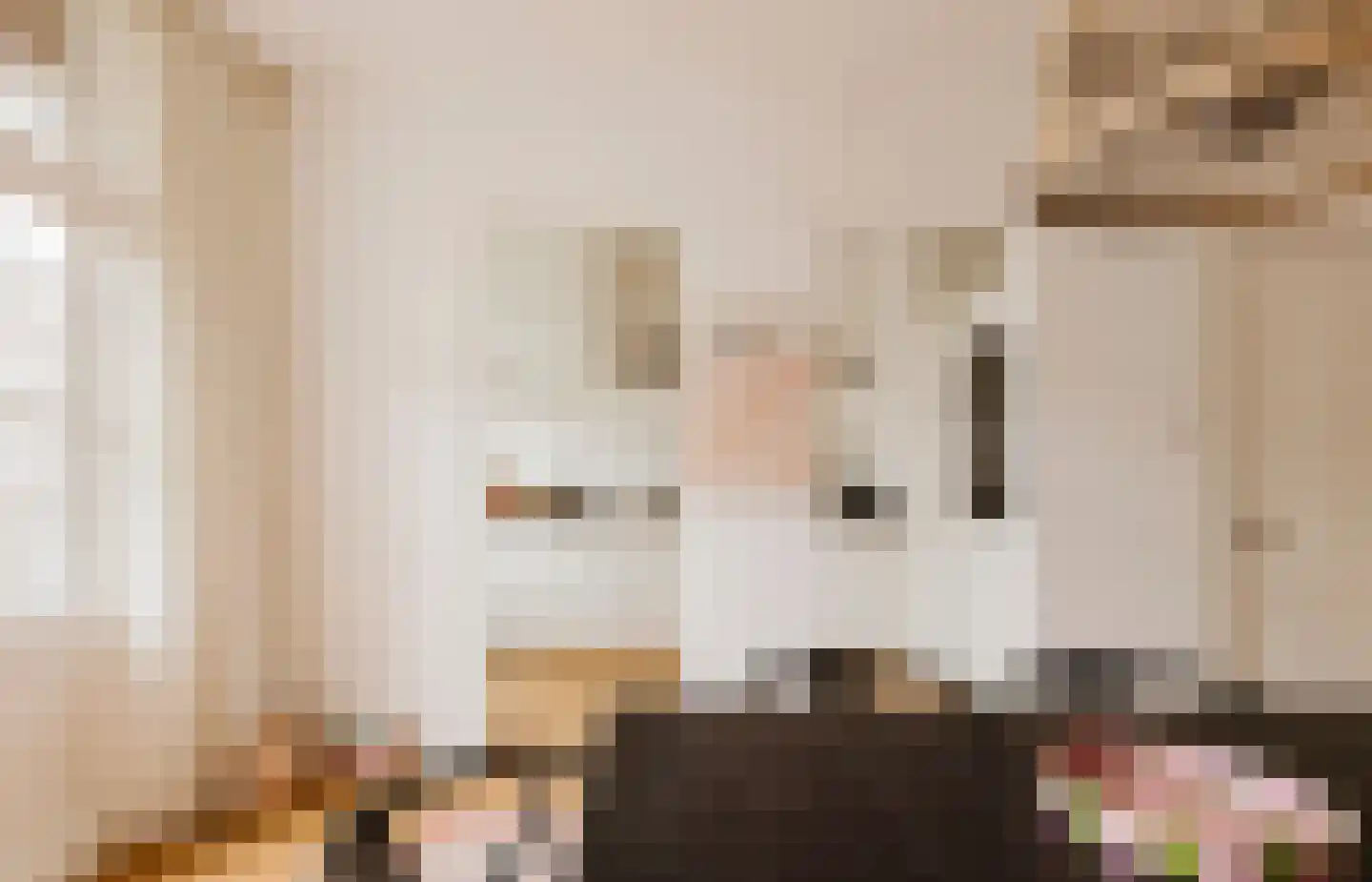 Nieuwe Prinsengracht 14 2 Amsterdam thumbnail 18