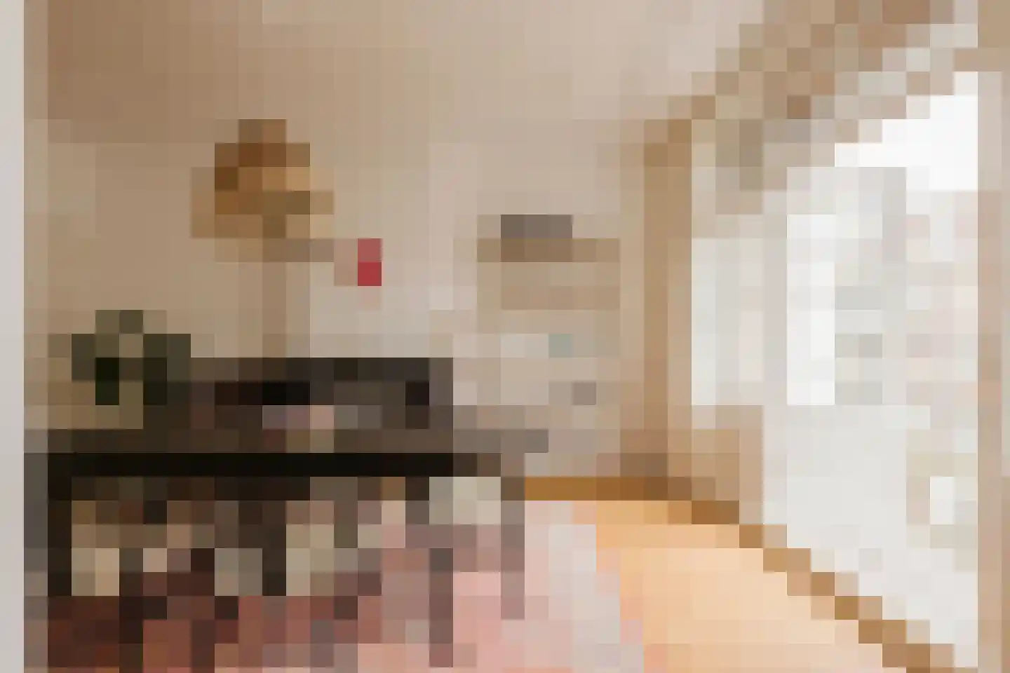 Nieuwe Prinsengracht 14 2 Amsterdam thumbnail 19