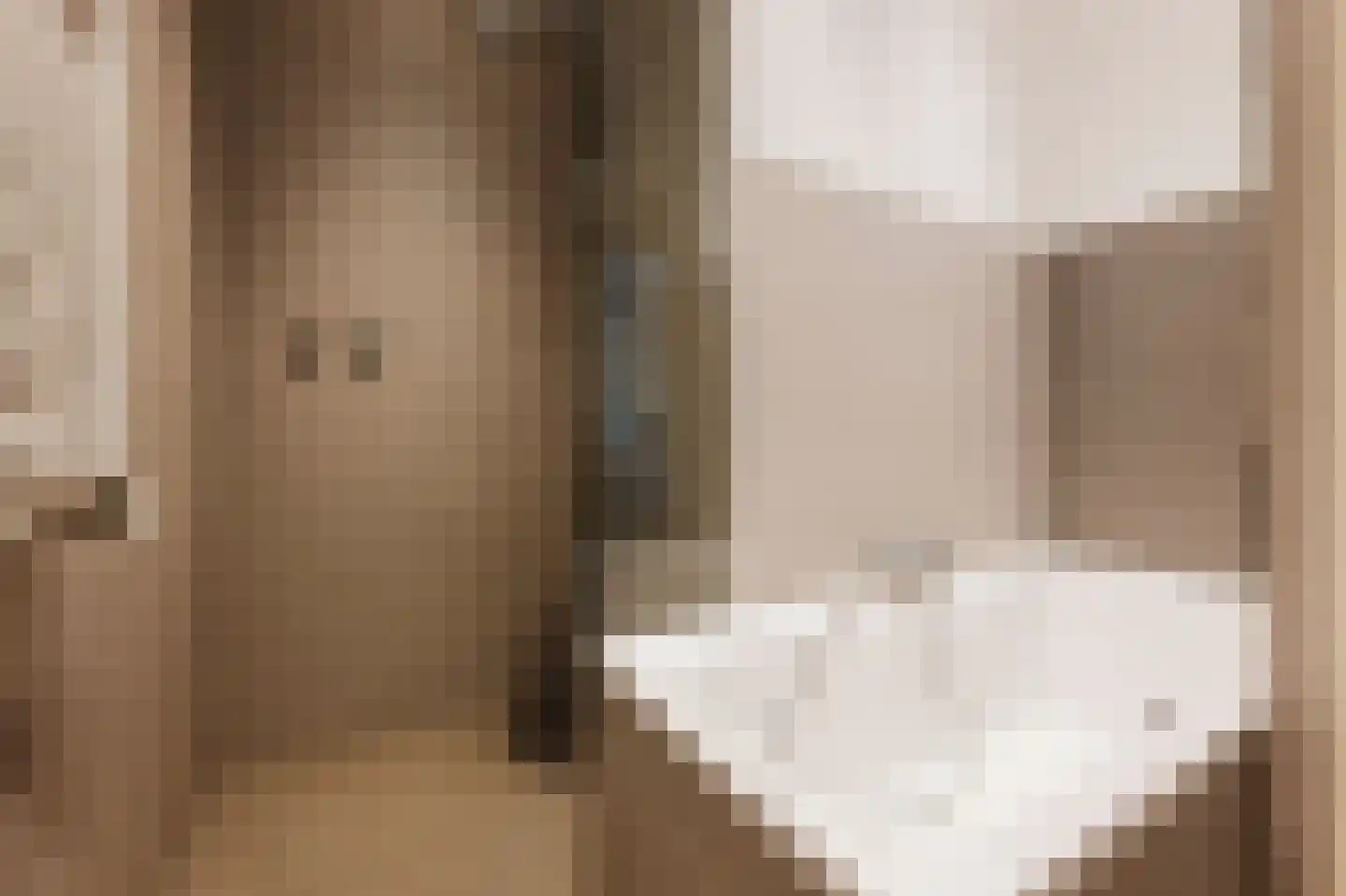 Nieuwe Prinsengracht 14 2 Amsterdam thumbnail 24
