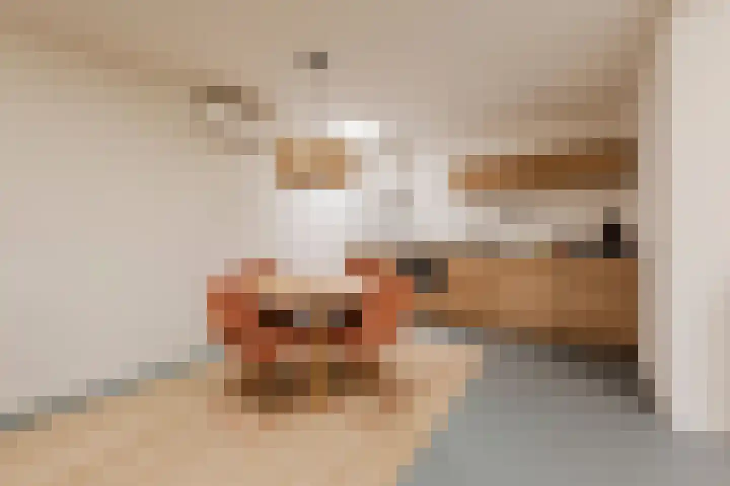 Nieuwe Prinsengracht 14 2 Amsterdam thumbnail 34
