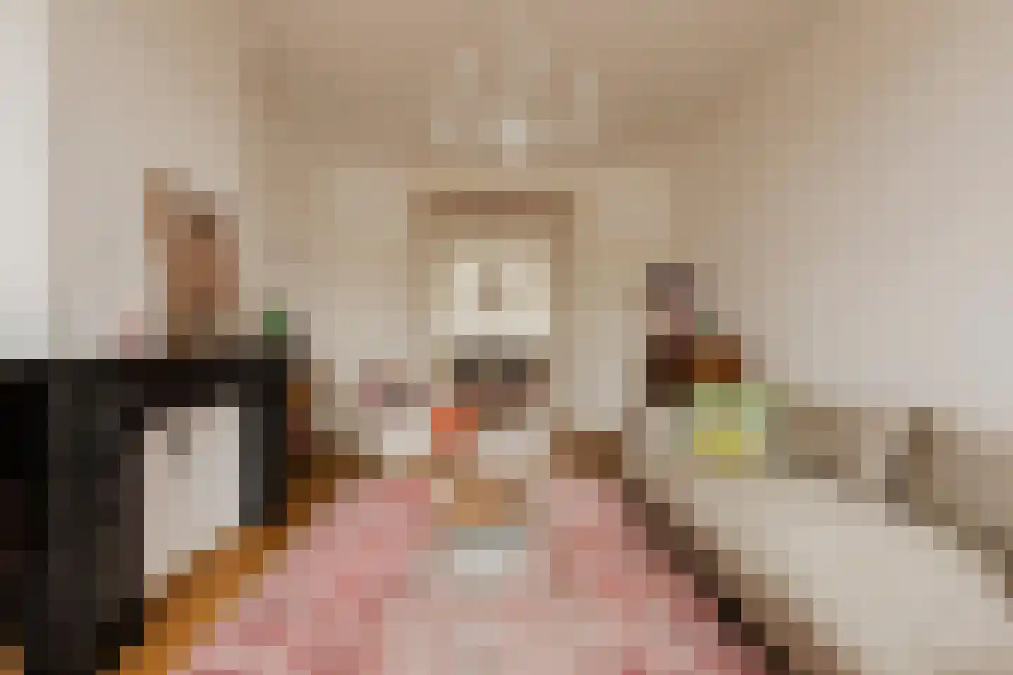 Nieuwe Prinsengracht 14 2 Amsterdam thumbnail 4