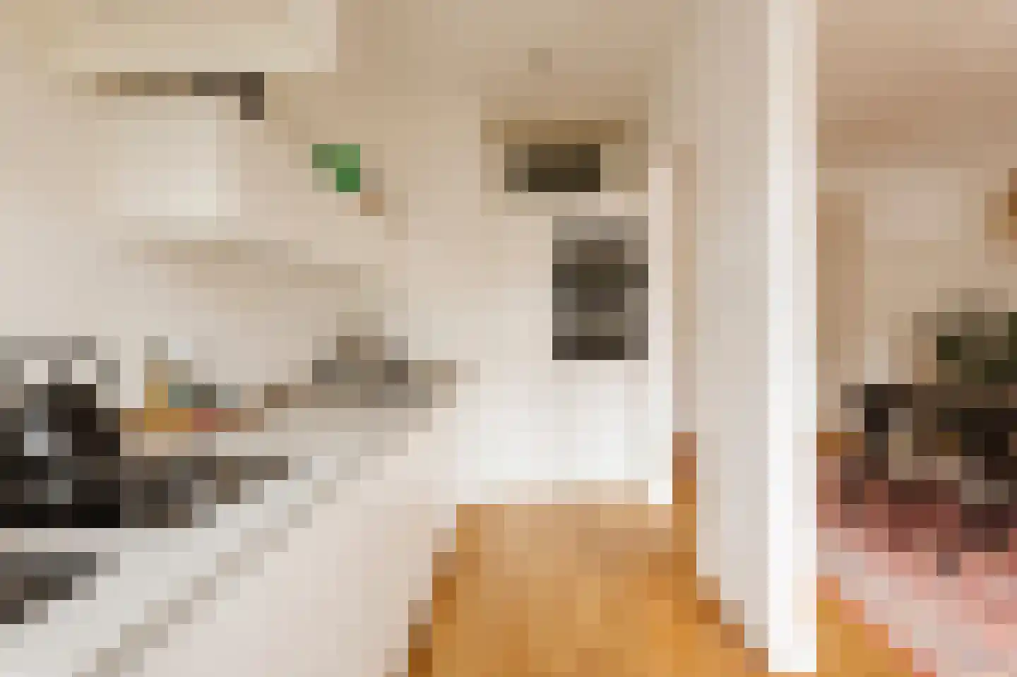 Nieuwe Prinsengracht 14 2 Amsterdam thumbnail 7