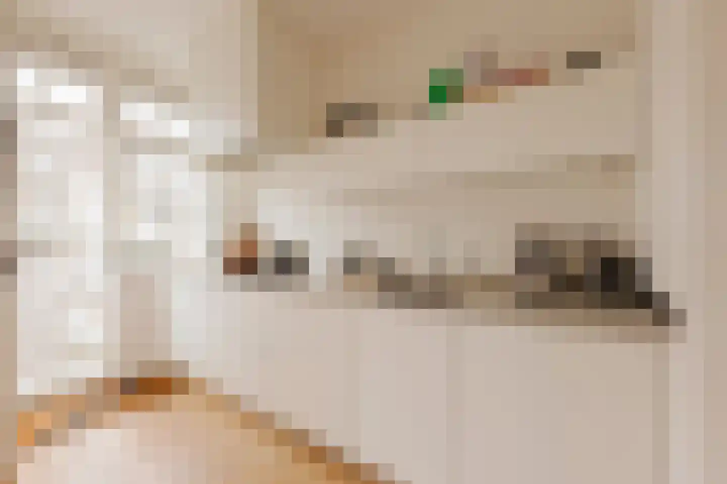 Nieuwe Prinsengracht 14 2 Amsterdam thumbnail 8