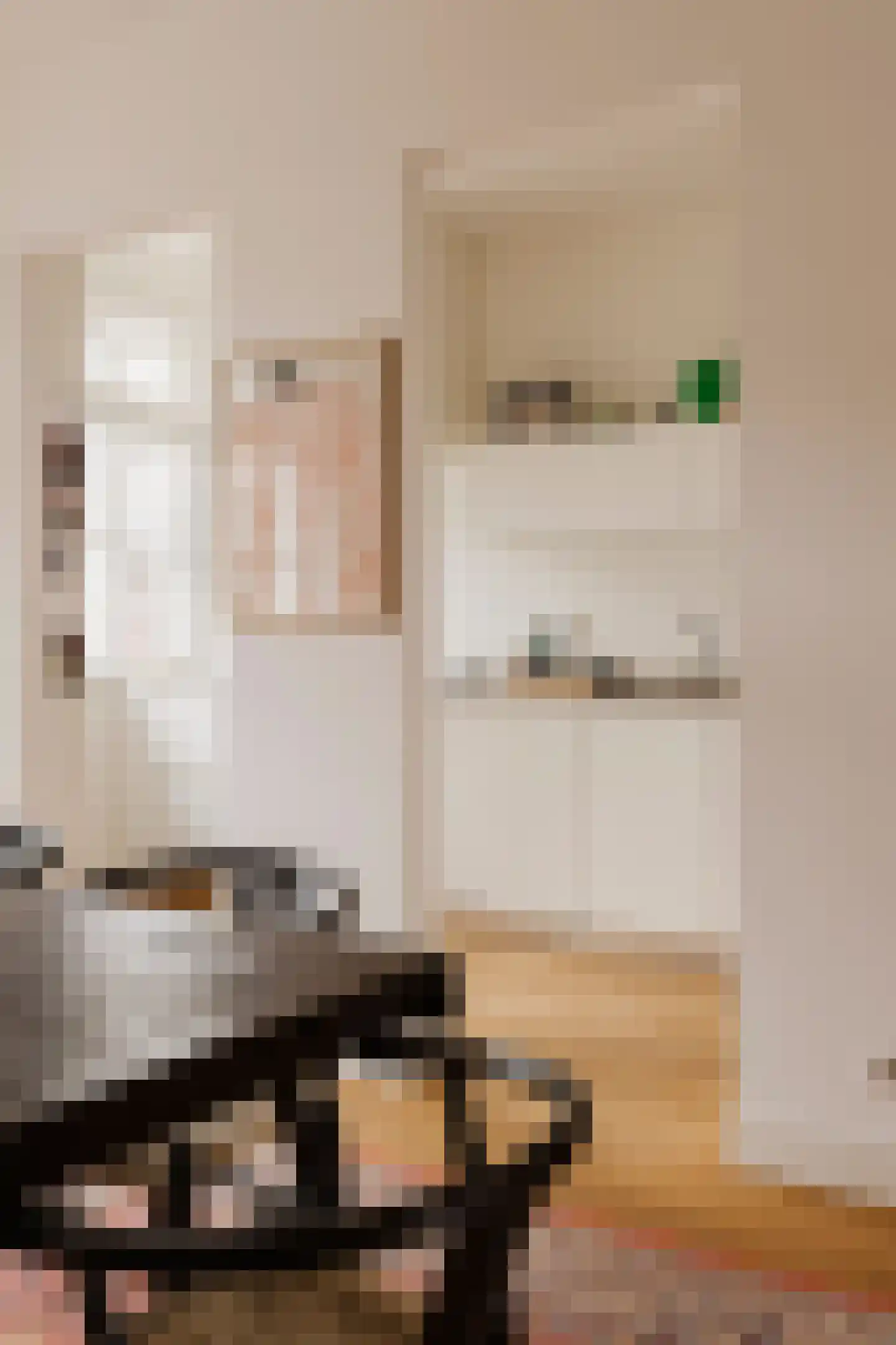 Nieuwe Prinsengracht 14 2 Amsterdam thumbnail 9