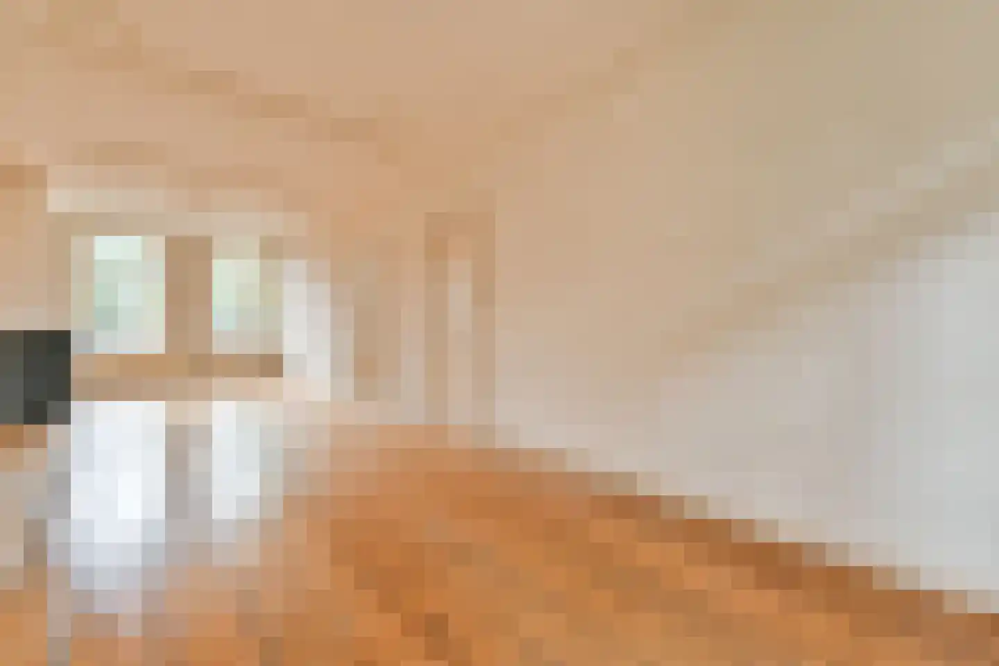 Nieuwe Prinsengracht 24 2 Amsterdam thumbnail 12