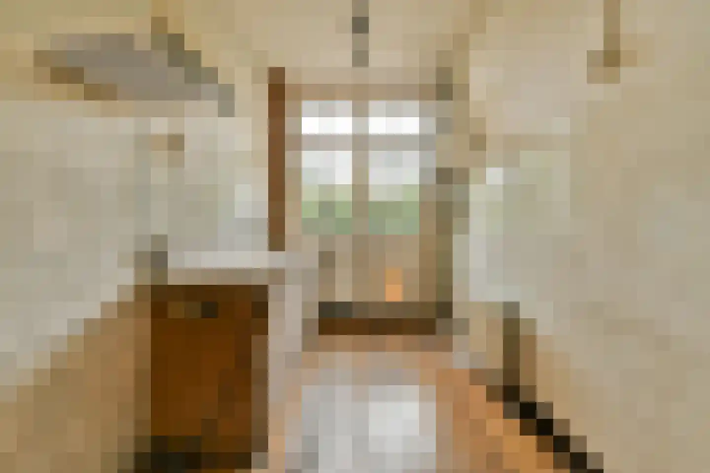 Nieuwe Prinsengracht 24 2 Amsterdam thumbnail 19