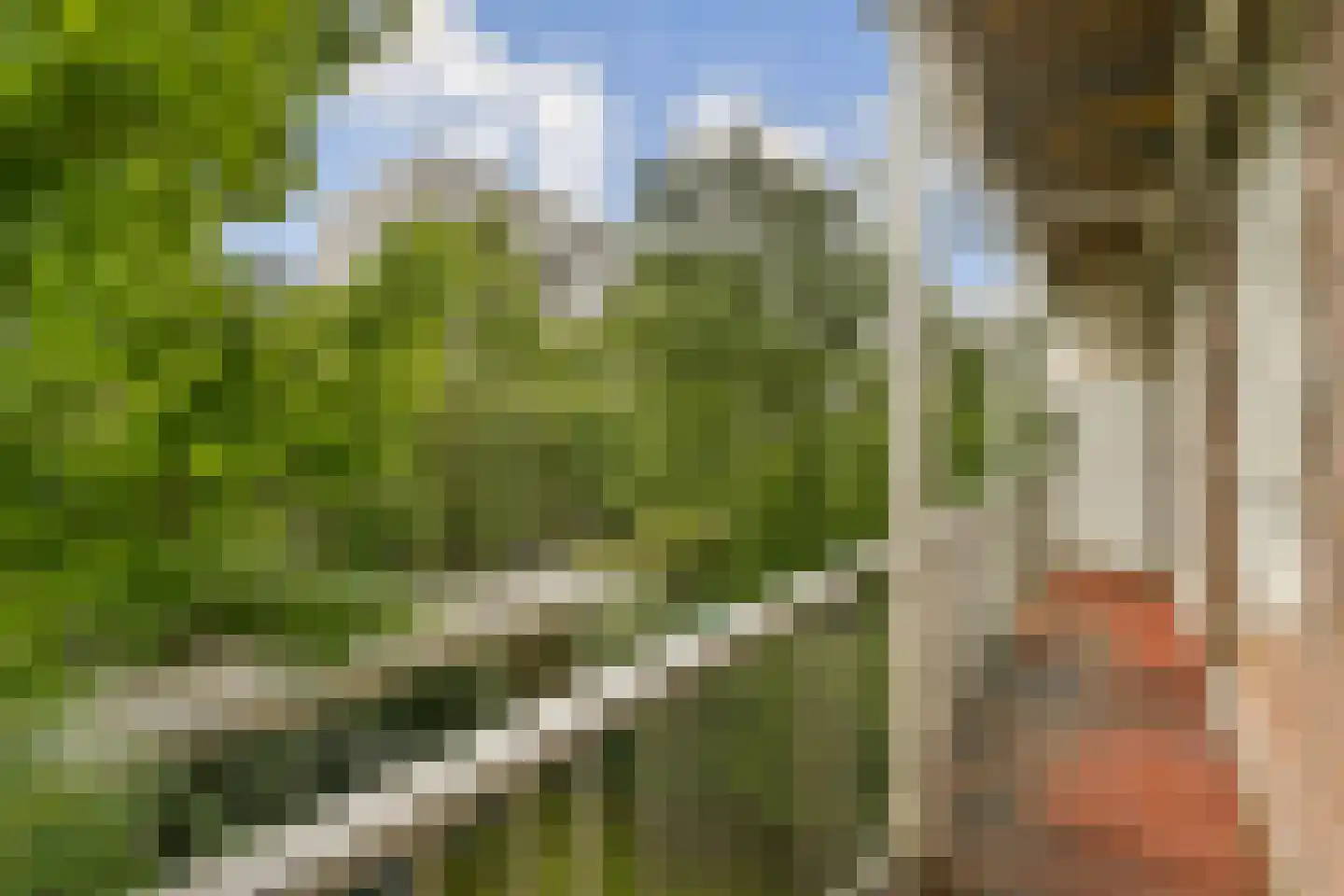 Nieuwe Prinsengracht 24 2 Amsterdam thumbnail 20