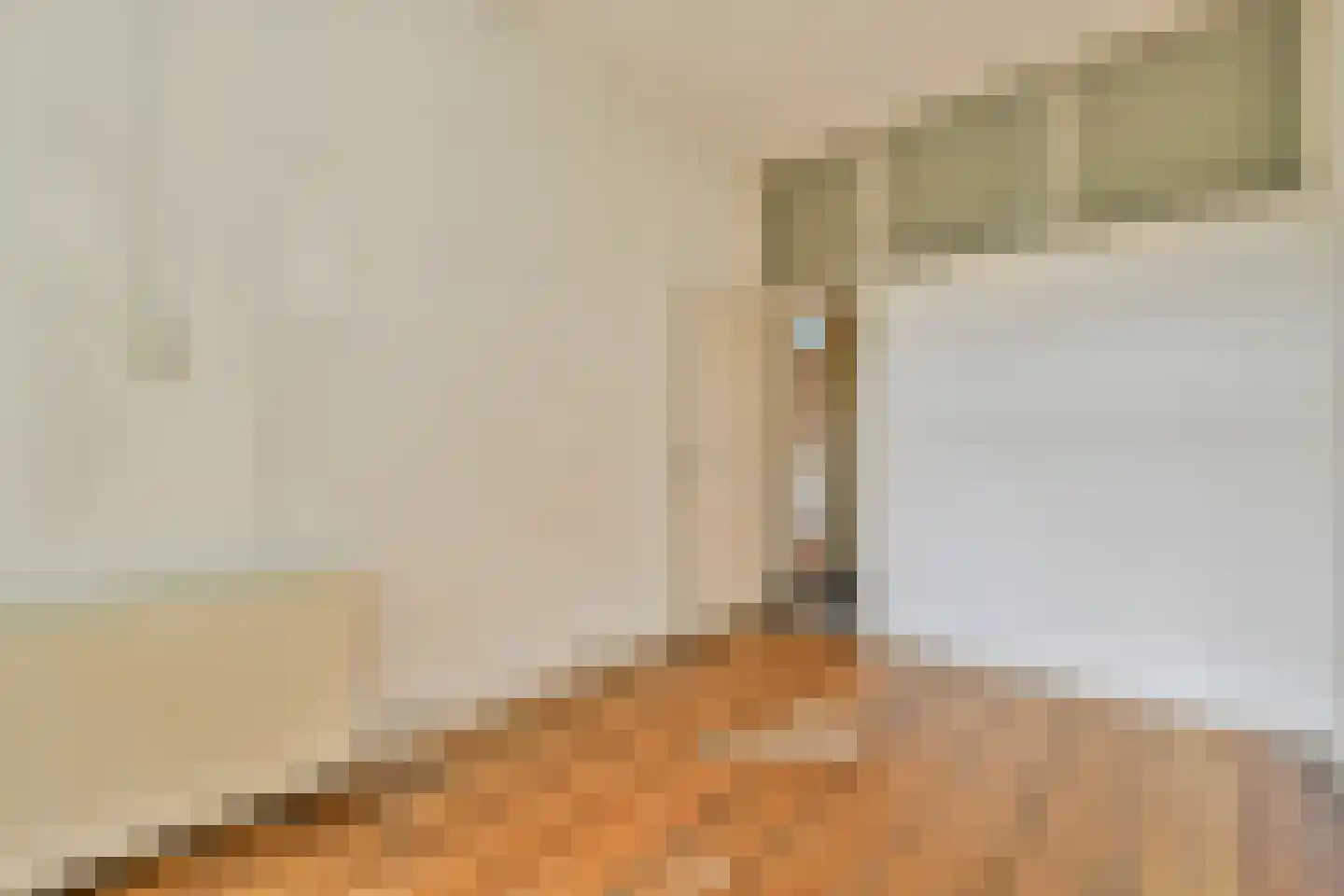 Nieuwe Prinsengracht 24 2 Amsterdam thumbnail 26