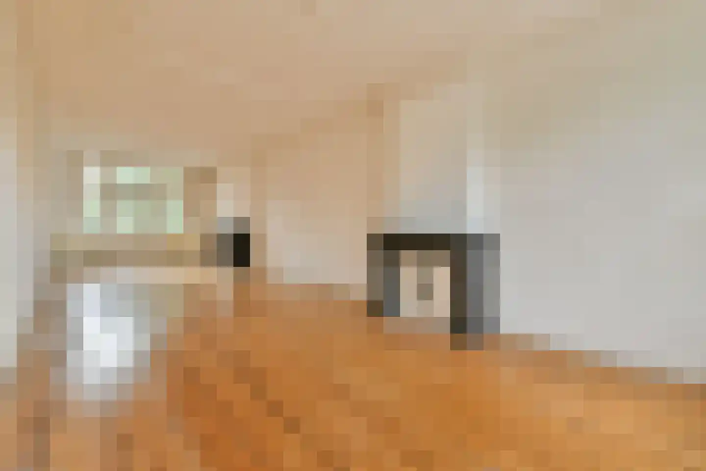 Nieuwe Prinsengracht 24 2 Amsterdam thumbnail 7