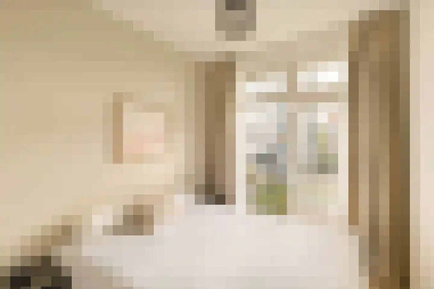 Nieuwe Prinsengracht 28 2 Amsterdam thumbnail 18