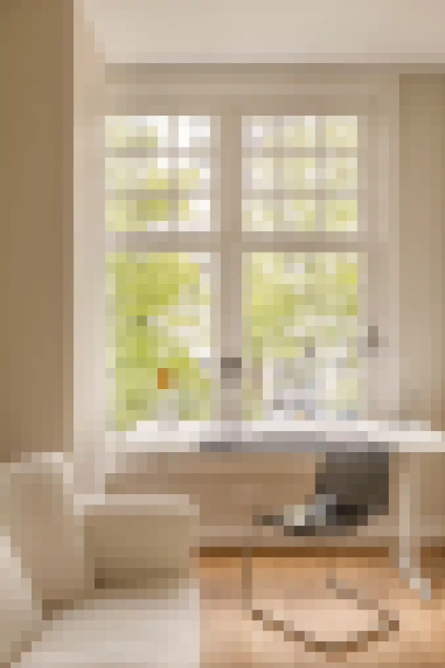 Nieuwe Prinsengracht 28 2 Amsterdam thumbnail 25