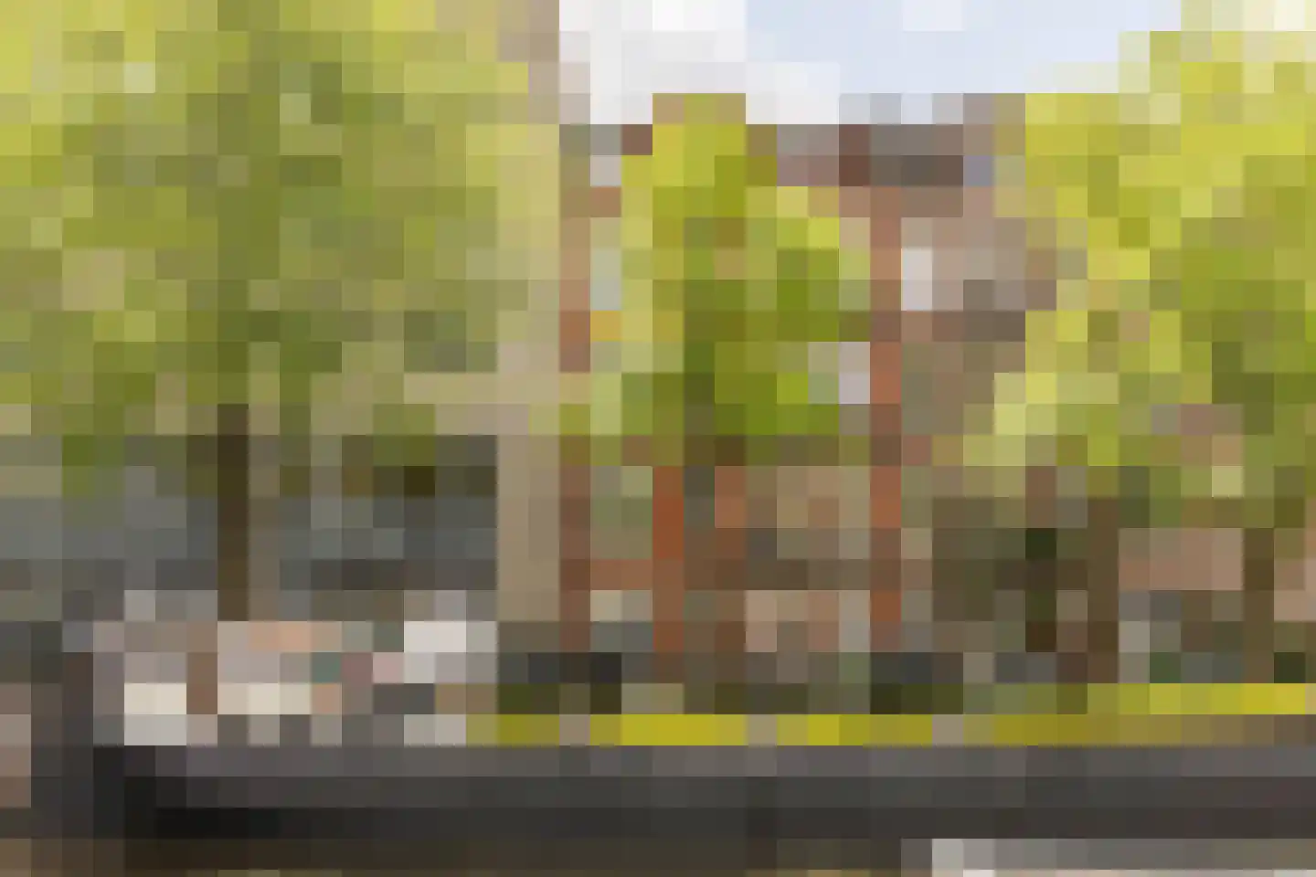 Nieuwe Prinsengracht 28 2 Amsterdam thumbnail 4