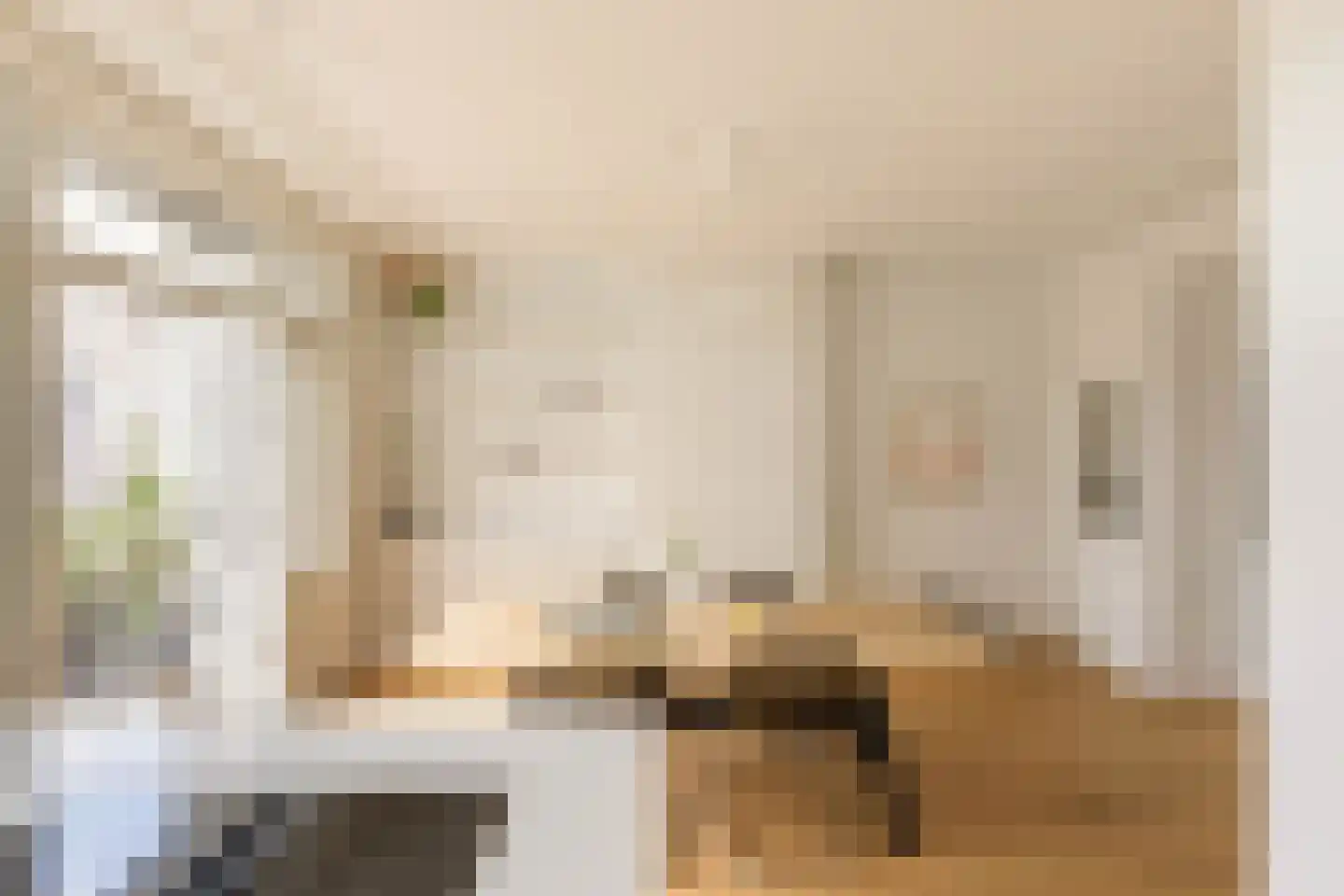 Nieuwe Prinsengracht 28 2 Amsterdam thumbnail 9