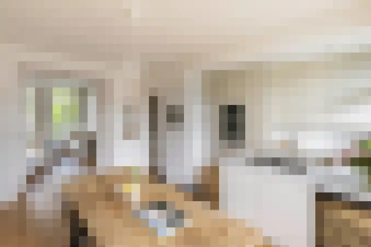 Nieuwe Prinsengracht 28 4 Amsterdam thumbnail 11