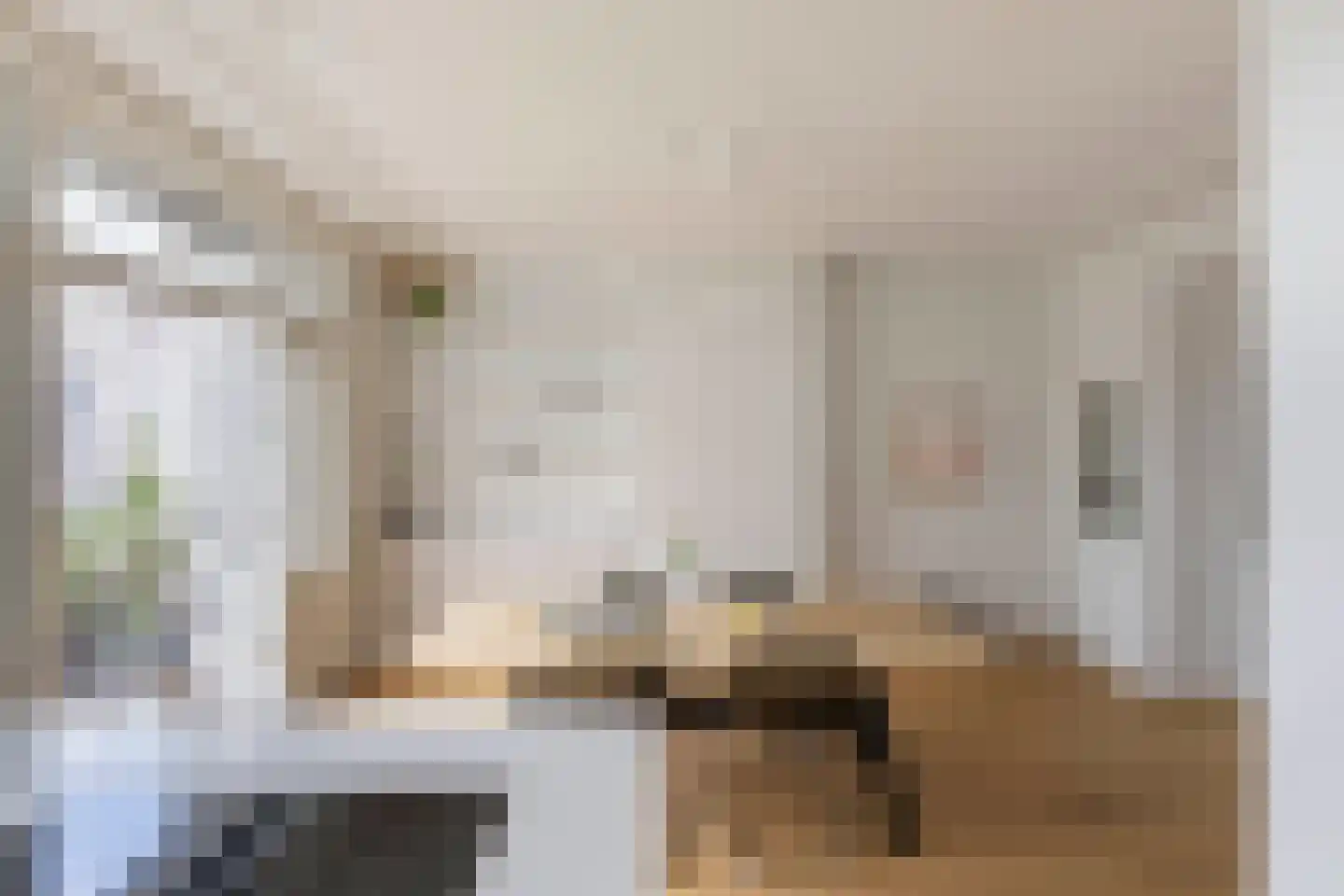Nieuwe Prinsengracht 28 4 Amsterdam thumbnail 9