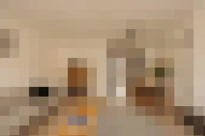 Nieuwe Prinsengracht 52 3 Amsterdam thumbnail 12