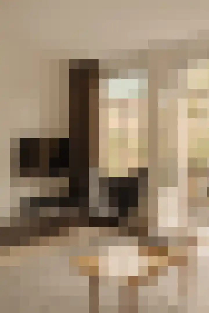 Nieuwe Prinsengracht 52 3 Amsterdam thumbnail 14