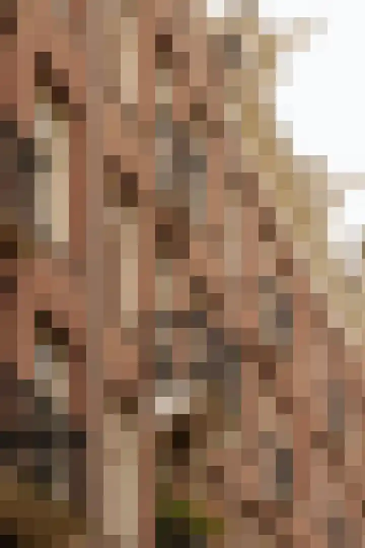 Nieuwe Prinsengracht 52 3 Amsterdam thumbnail 4