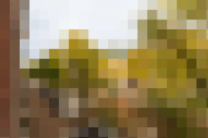 Nieuwe Prinsengracht 52 3 Amsterdam thumbnail 9
