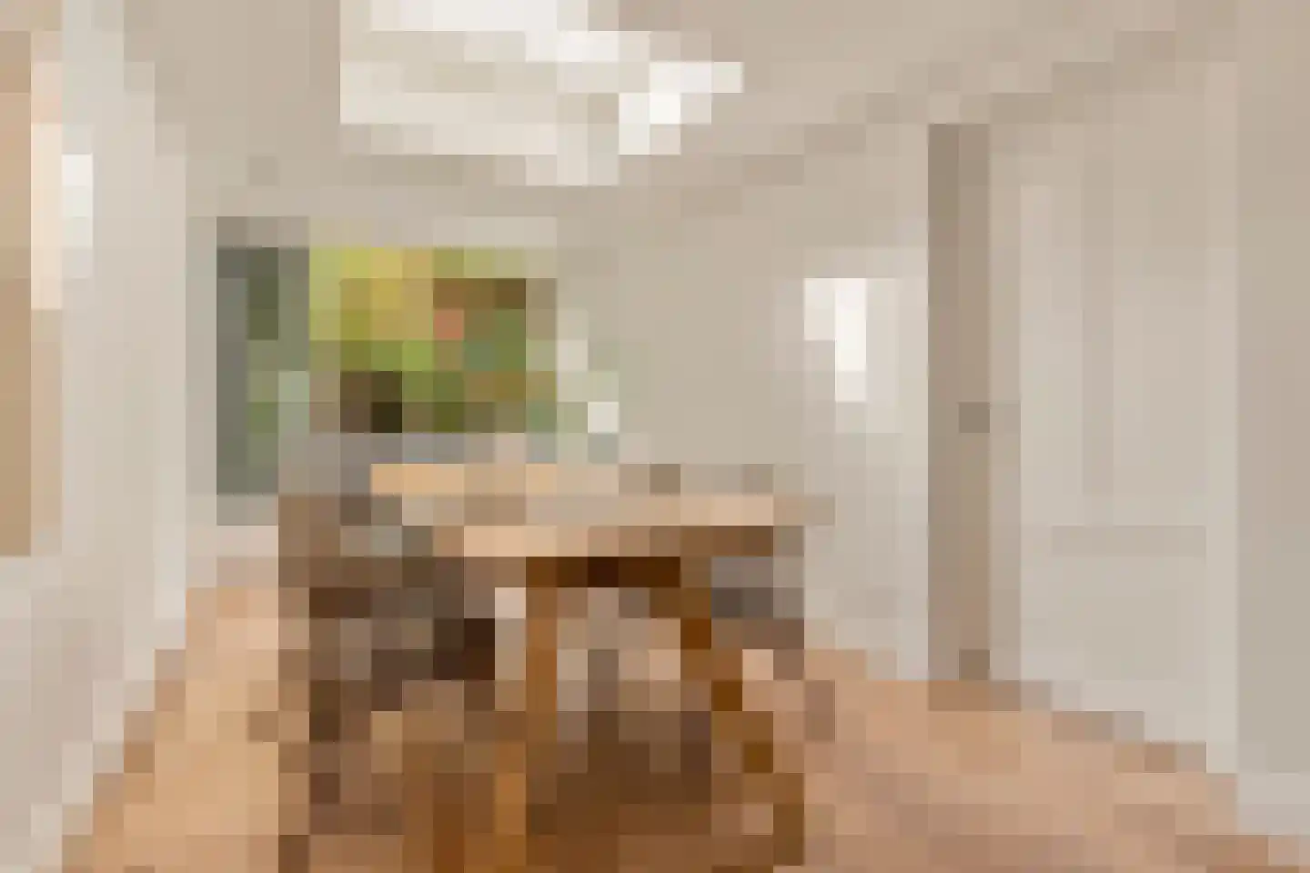 Nieuwe Prinsengracht 66 F Amsterdam thumbnail 10