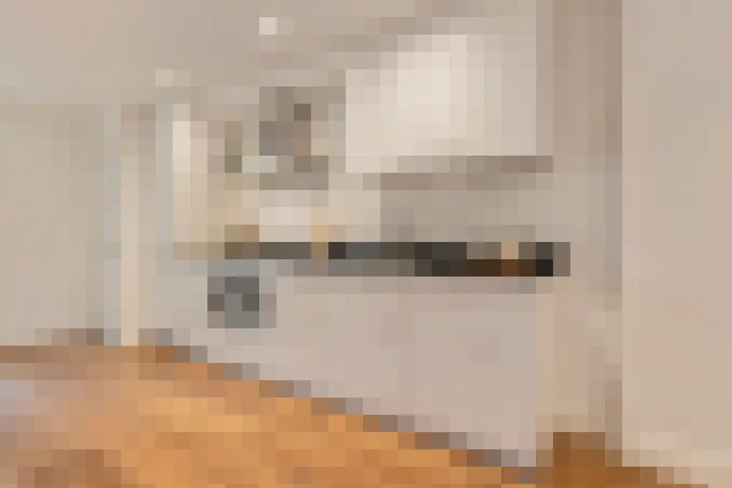 Nieuwe Prinsengracht 66 F Amsterdam thumbnail 12