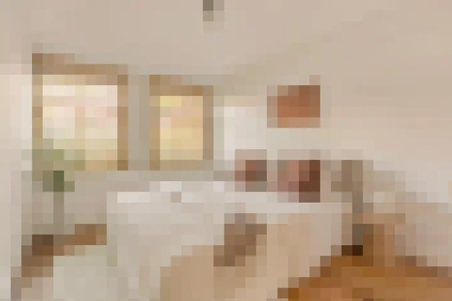 Nieuwe Prinsengracht 66 F Amsterdam thumbnail 15