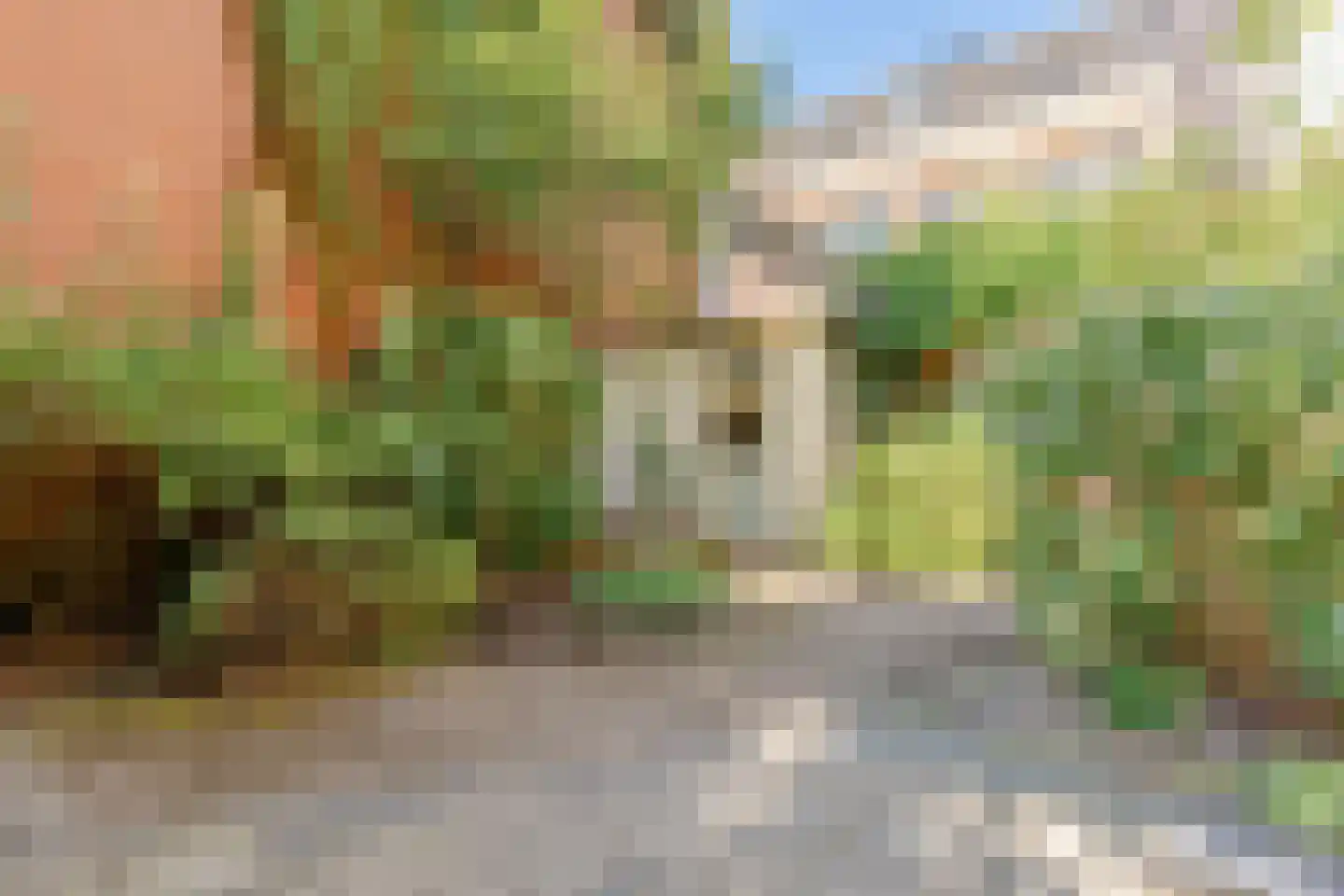 Nieuwe Prinsengracht 66 F Amsterdam thumbnail 27