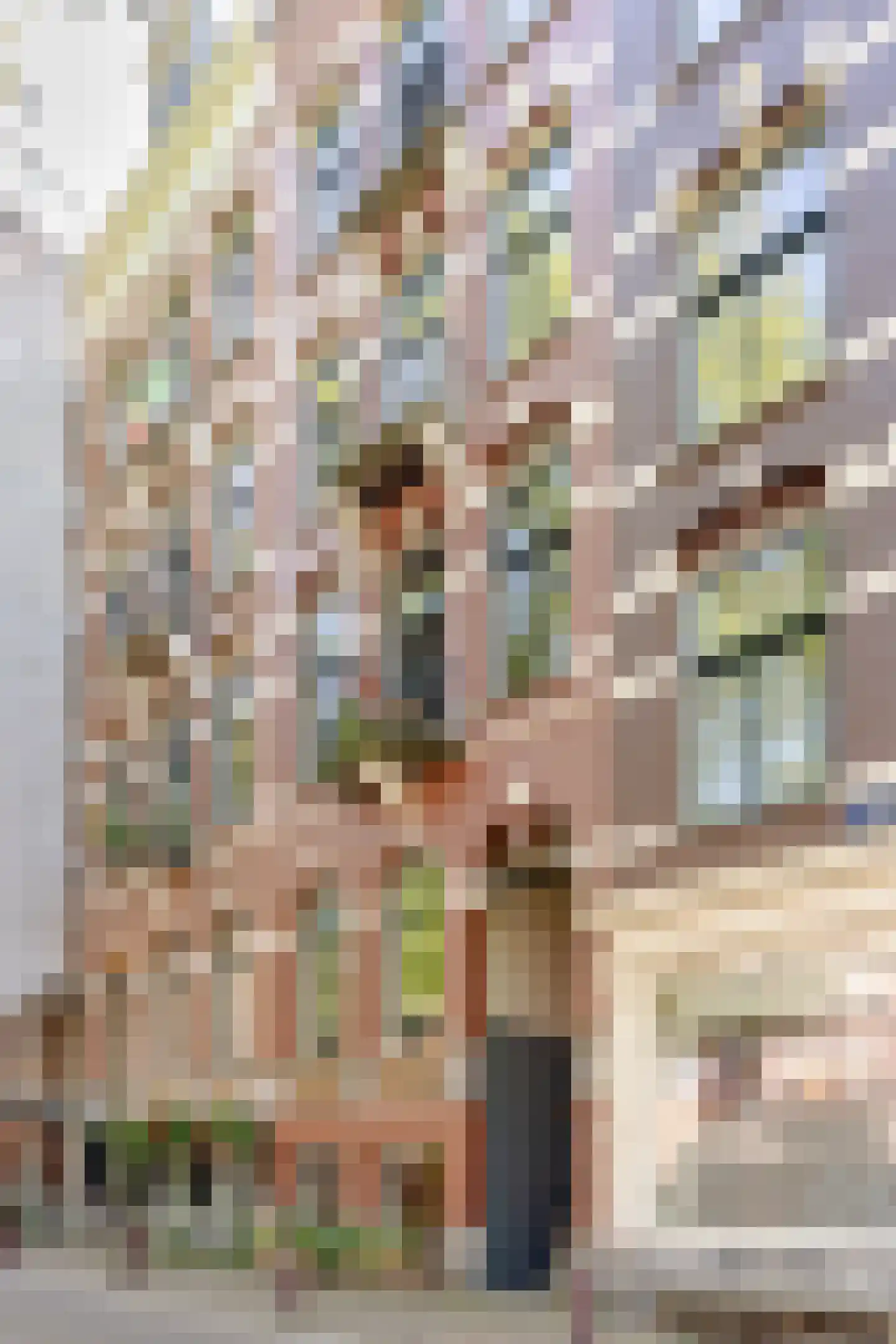 Nieuwe Prinsengracht 66 F Amsterdam thumbnail 33