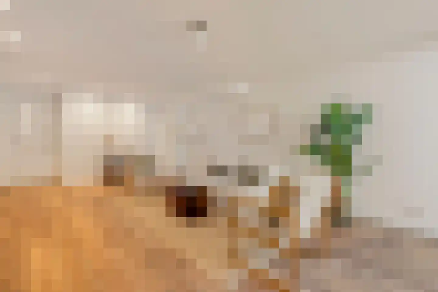 Nieuwe Prinsengracht 66 F Amsterdam thumbnail 4