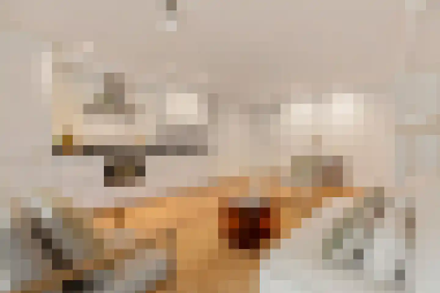 Nieuwe Prinsengracht 66 F Amsterdam thumbnail 8
