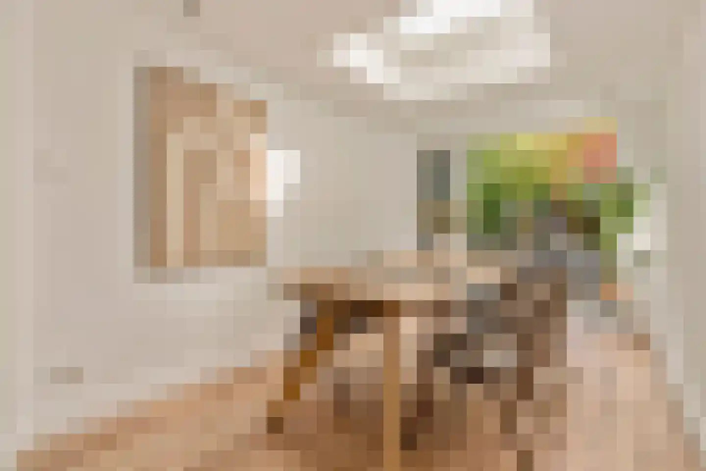 Nieuwe Prinsengracht 66 F Amsterdam thumbnail 9
