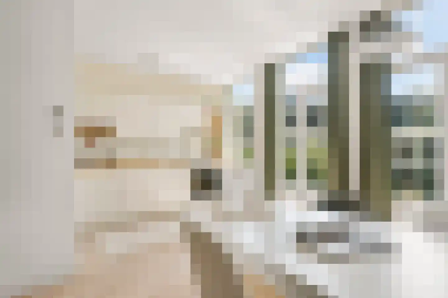 Nieuwe Prinsengracht 92 H Amsterdam thumbnail 11