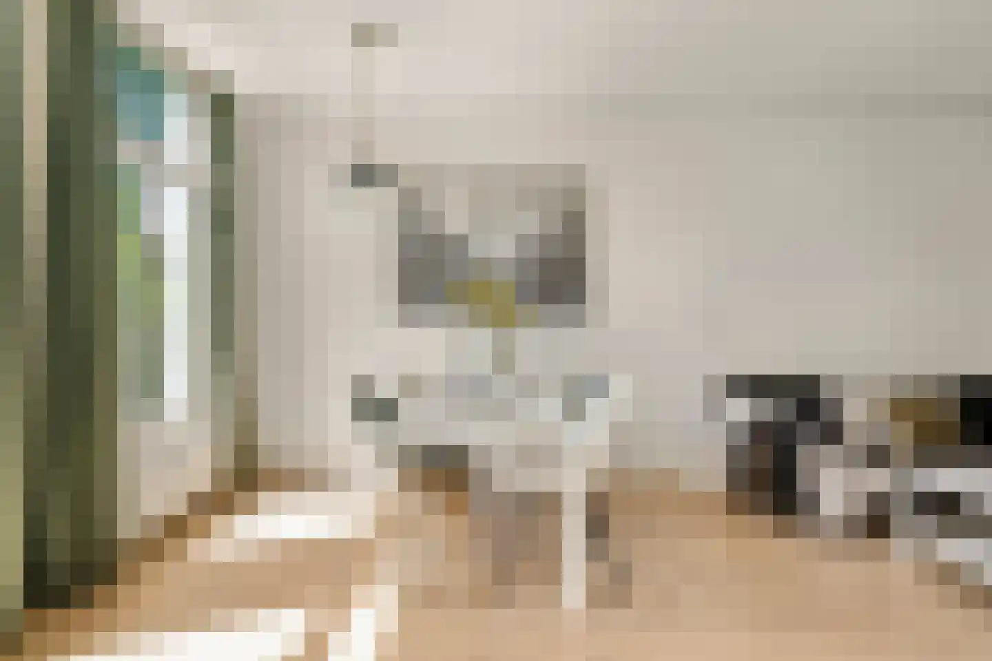 Nieuwe Prinsengracht 92 H Amsterdam thumbnail 4