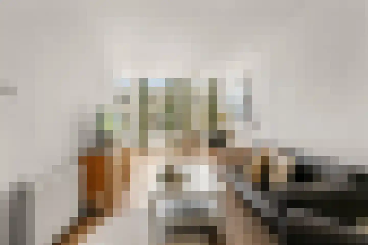 Nieuwe Prinsengracht 92 H Amsterdam thumbnail 6