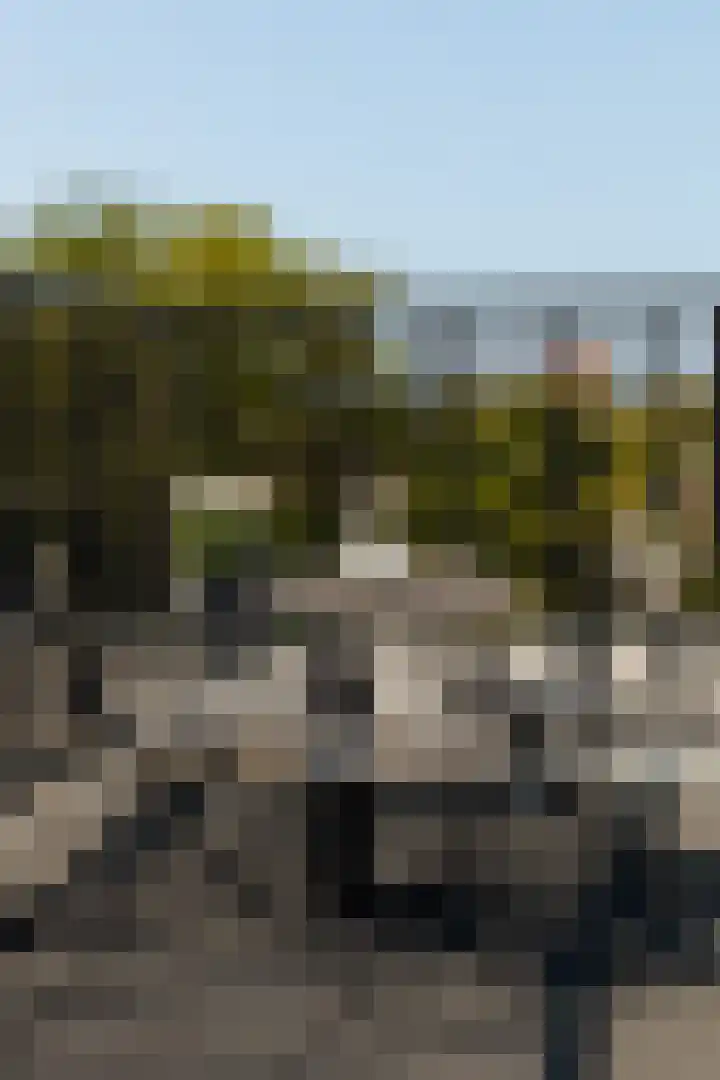 Nieuwe Prinsengracht 94 D Amsterdam thumbnail 20