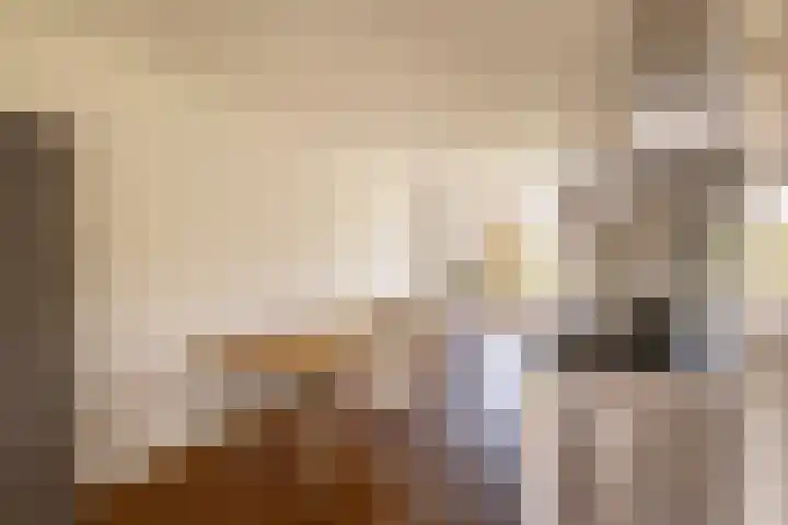 Nieuwe Prinsengracht 98 4 Amsterdam thumbnail 10