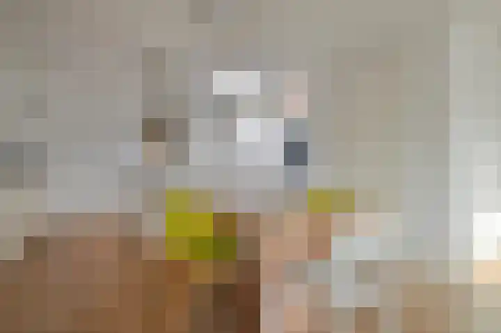 Nieuwe Prinsengracht 98 4 Amsterdam thumbnail 11
