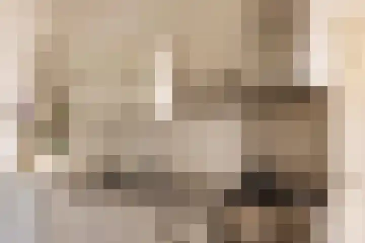 Nieuwe Prinsengracht 98 4 Amsterdam thumbnail 12