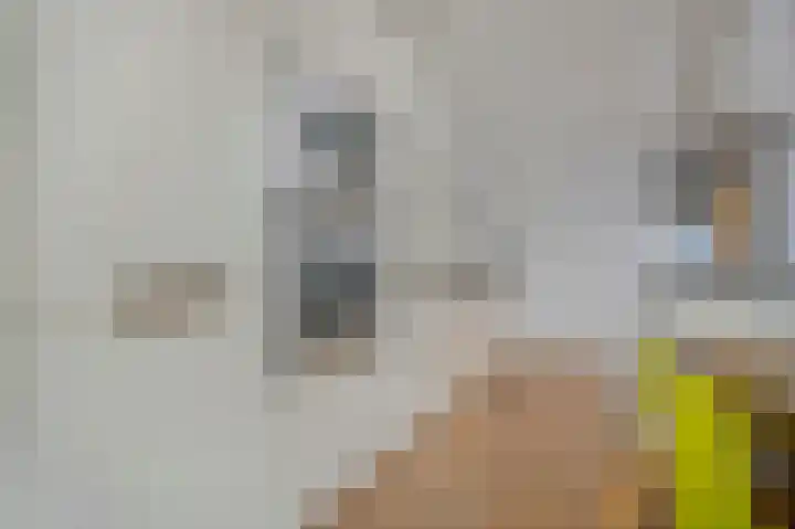 Nieuwe Prinsengracht 98 4 Amsterdam thumbnail 15