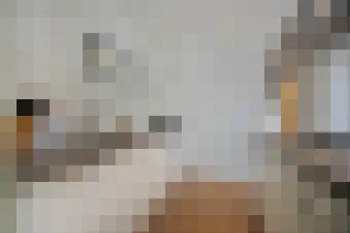 Nieuwe Prinsengracht 98 4 Amsterdam thumbnail 16